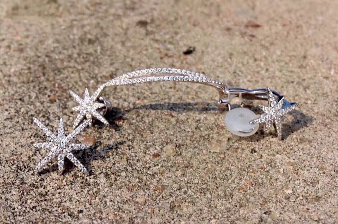 APM Monaco Star Earring